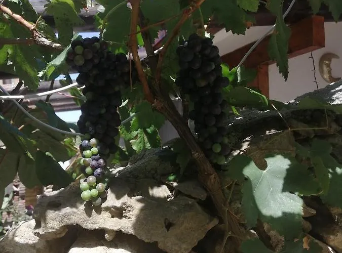 Antonella Prázdninový dům Brindisi